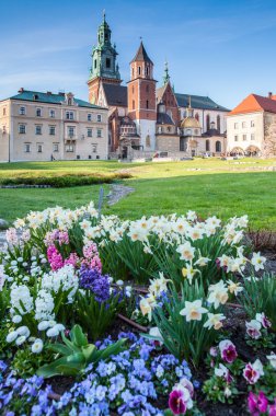 Krakow, Poland. Wawel castle and color flowers clipart