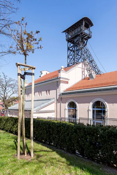 Wieliczka, Poland - Regis shaft — Stock Photo, Image