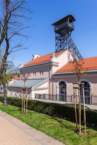 Wieliczka - Polonya. Regis şaft tuz madeni Müzesi'nde — Stok fotoğraf