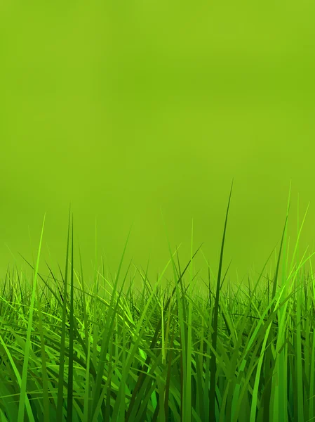 Естественное травяное поле — стоковое фото