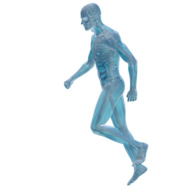 kavramsal adam anatomisi