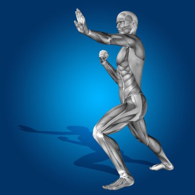 stong kasları ile insan