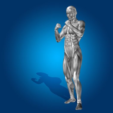 stong kasları ile insan