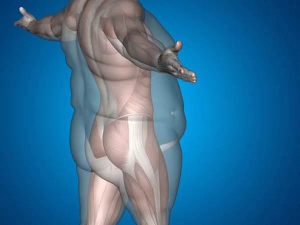 뚱뚱한과 체중 vs 슬림 남자 — 스톡 사진