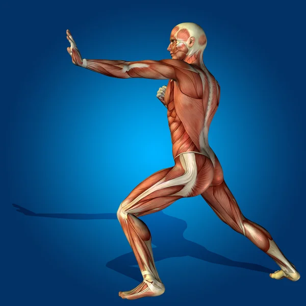 Упрямый человек с мышцами — стоковое фото