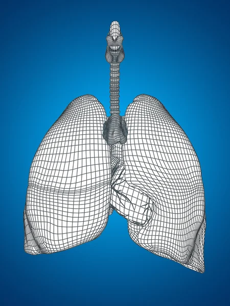 Rete metallica sistema respiratorio — Foto Stock