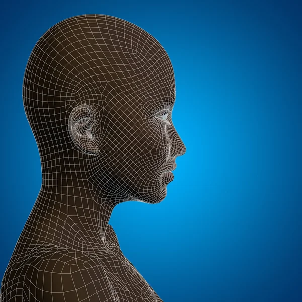 Conceptual 3D wireframe joven cara de mujer o mujer humana — Foto de Stock