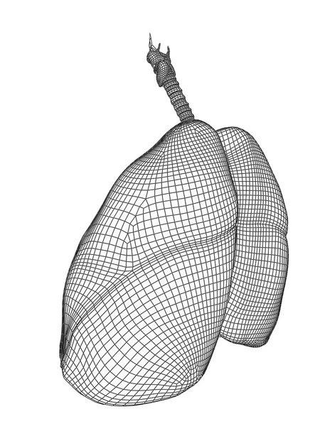 Mesh respiratory system — Stock Photo, Image