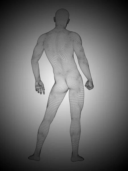 Wireframe homme debout — Photo