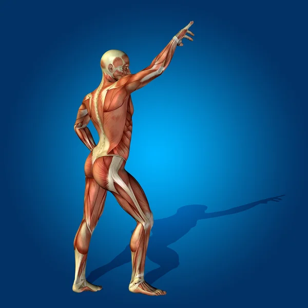 Stong mänskliga med muskler — Stockfoto