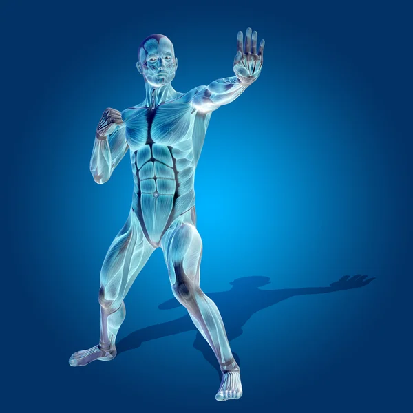 Stong human  with muscles — Stock Photo, Image