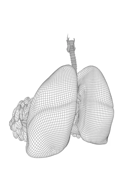 Mesh respiratory system — Stock Photo, Image