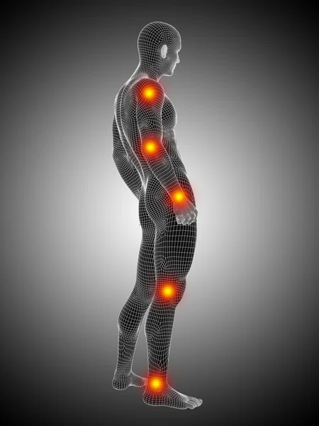 Cuerpo de estructura de alambre de anatomía d — Foto de Stock