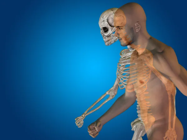 Conceito de anatomia, humano conceitual — Fotografia de Stock