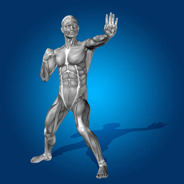Humano fuerte con músculos —  Fotos de Stock