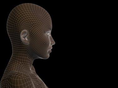 İnsan kafası kahverengi tel kafes yaptım