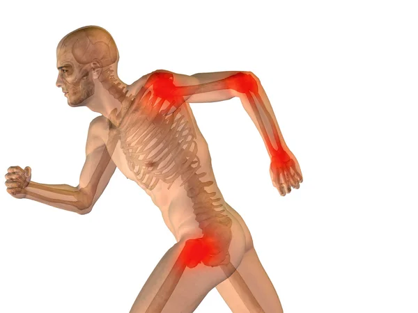 Трехмерная мужская анатомия со скелетом и болью на белом фоне — стоковое фото