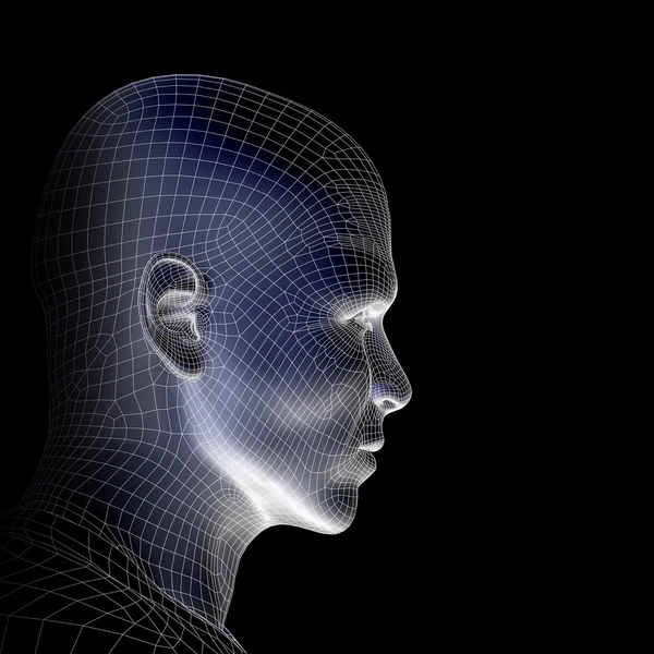 Ανθρώπινο κεφάλι περίγραμμα επιφάνειας — Φωτογραφία Αρχείου