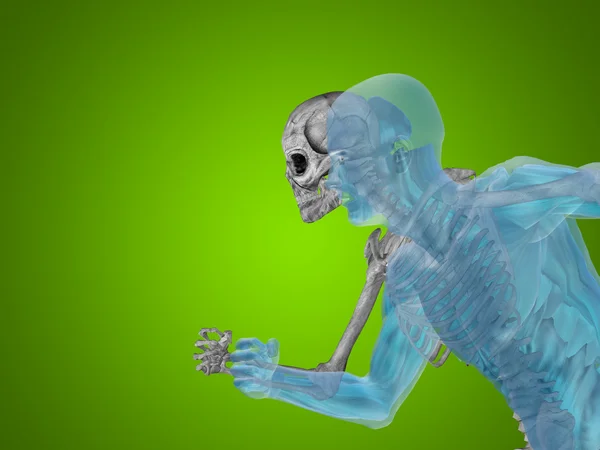 Концепція анатомії або концептуальний людський медичний або здоровий організм грудей, голова зеленого яскравого фону — стокове фото