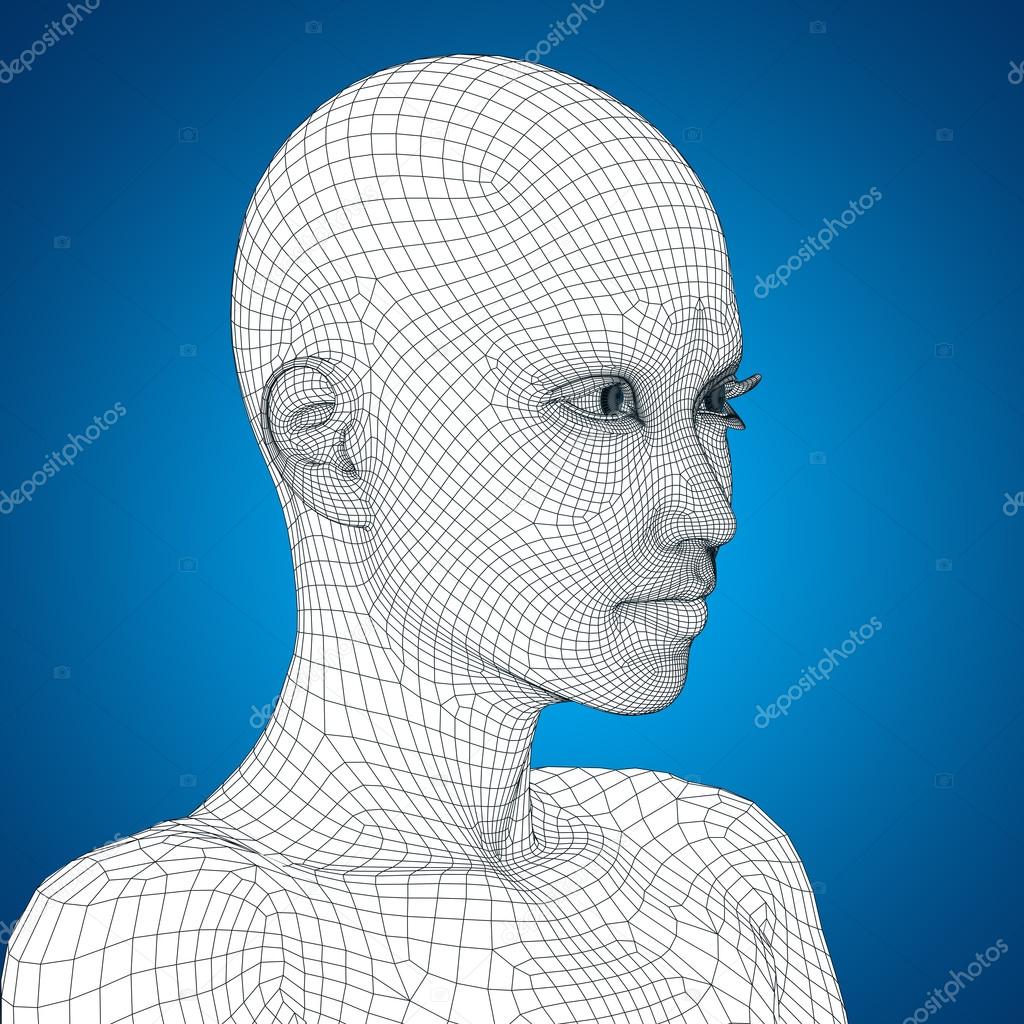 wireframe young  female face