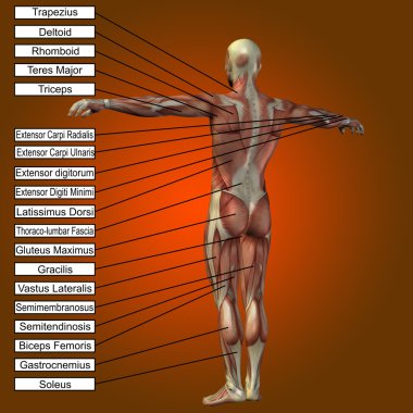 adam kasları ve metin