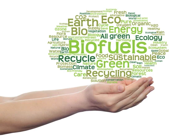 Ecologie word cloud-tekst — Stockfoto