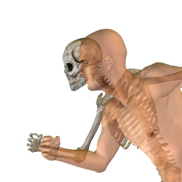 Mänskliga man eller manlig 3d konceptuella anatomi med ben eller skelett och ansikte eller skalle Detaljer isolerad på bakgrunden — Stockfoto