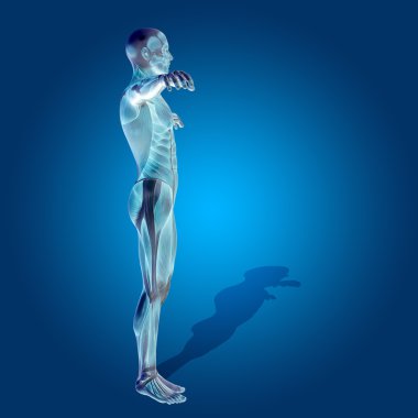 kavramsal stong insan