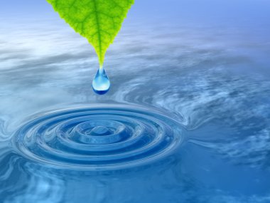 taze yaprak yeşil düşen bırak