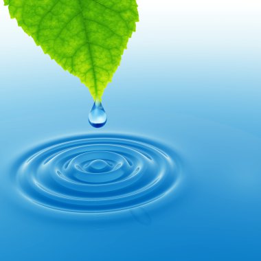 taze yaprak yeşil düşen bırak