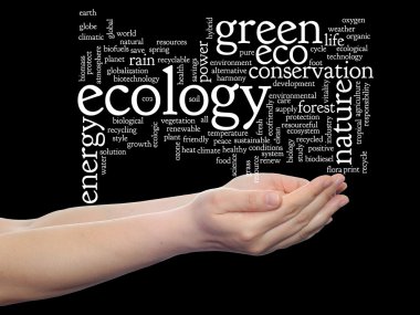 Ekoloji kelime bulutu