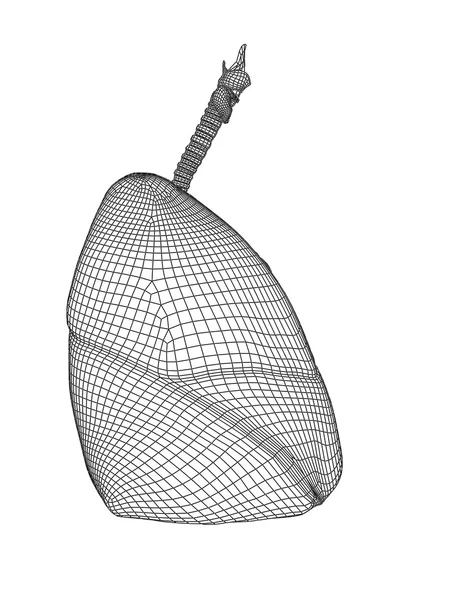와이어 메쉬 호흡기 시스템 — 스톡 사진