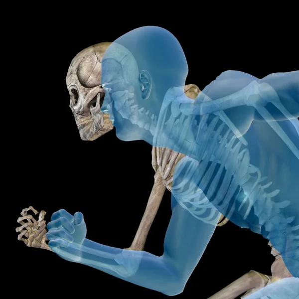 Human  anatomy with bones — Stock Photo, Image