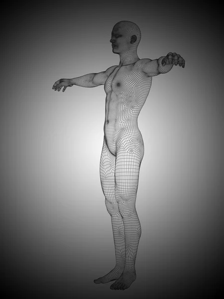 Wireframe homme un debout — Photo