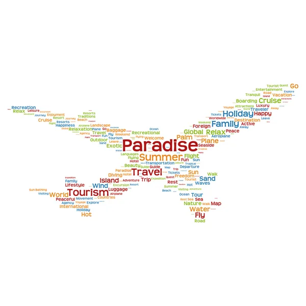 Tourism plane word cloud — Stock Vector