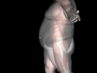 şişman kilolu vs ince adam