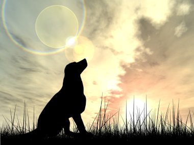 sevimli köpek siluet çim