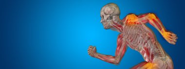 kavramsal insan anatomisi