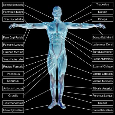 adam kasları ve metin