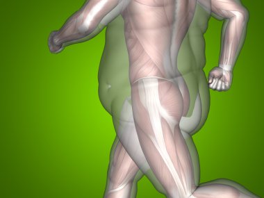 şişman kilolu vs ince adam