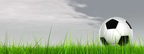 Pelota de fútbol en hierba fresca — Foto de Stock