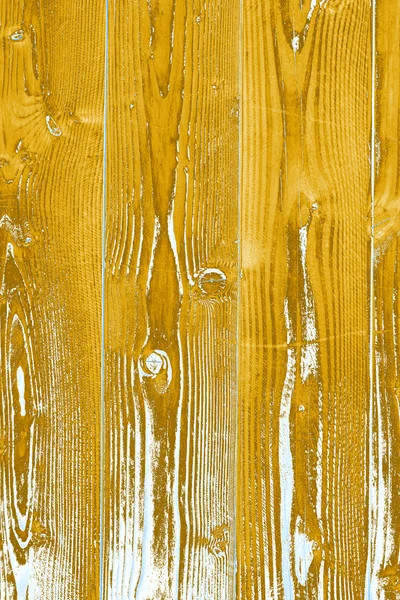 Textura de madeira natural — Fotografia de Stock