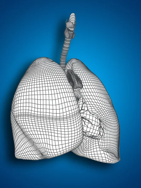 Mesh respiratory system — Stock Photo, Image