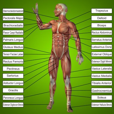 adam kasları ve metin