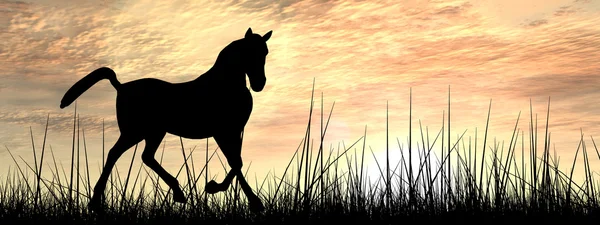 black horse silhouette