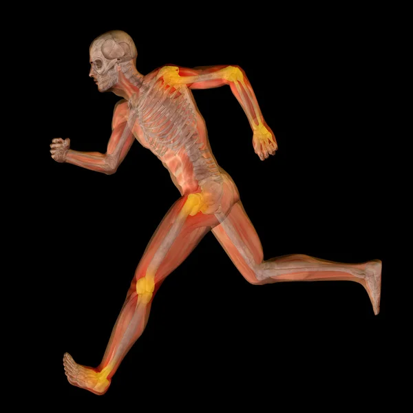 Konceptuální muž anatomie — Stock fotografie