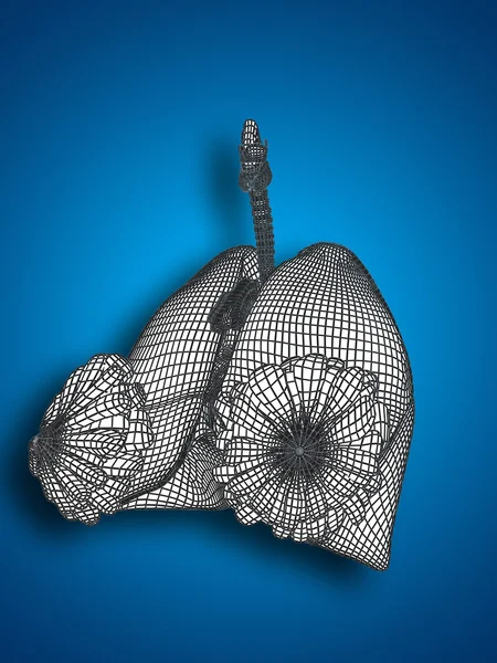 Rete respiratoria — Foto Stock