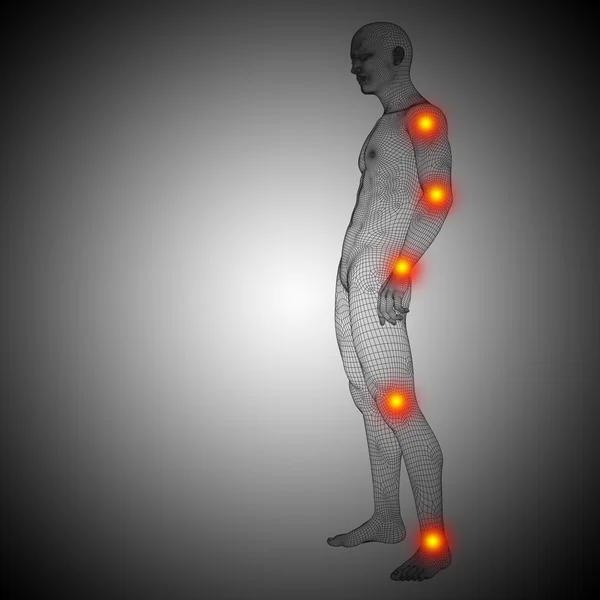 Insan anatomisi vücut — Stok fotoğraf