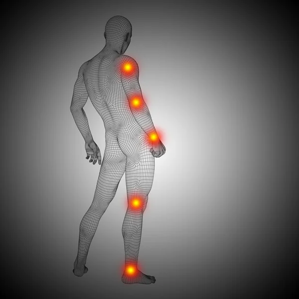 Kavramsal insan anatomisi — Stok fotoğraf