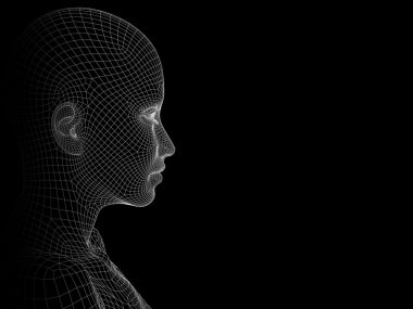 Tel kafes insan kafası 